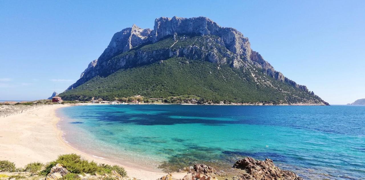 Iss Travel, La Ginestra - 2-Bedroom Apartment With Terrace And View Over Tavolara Island San Teodoro  Exterior foto